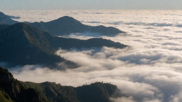 自然纪录片拍摄场景,广角镜头下的山脉与云海,光线柔和层次丰富,画面质感细腻
